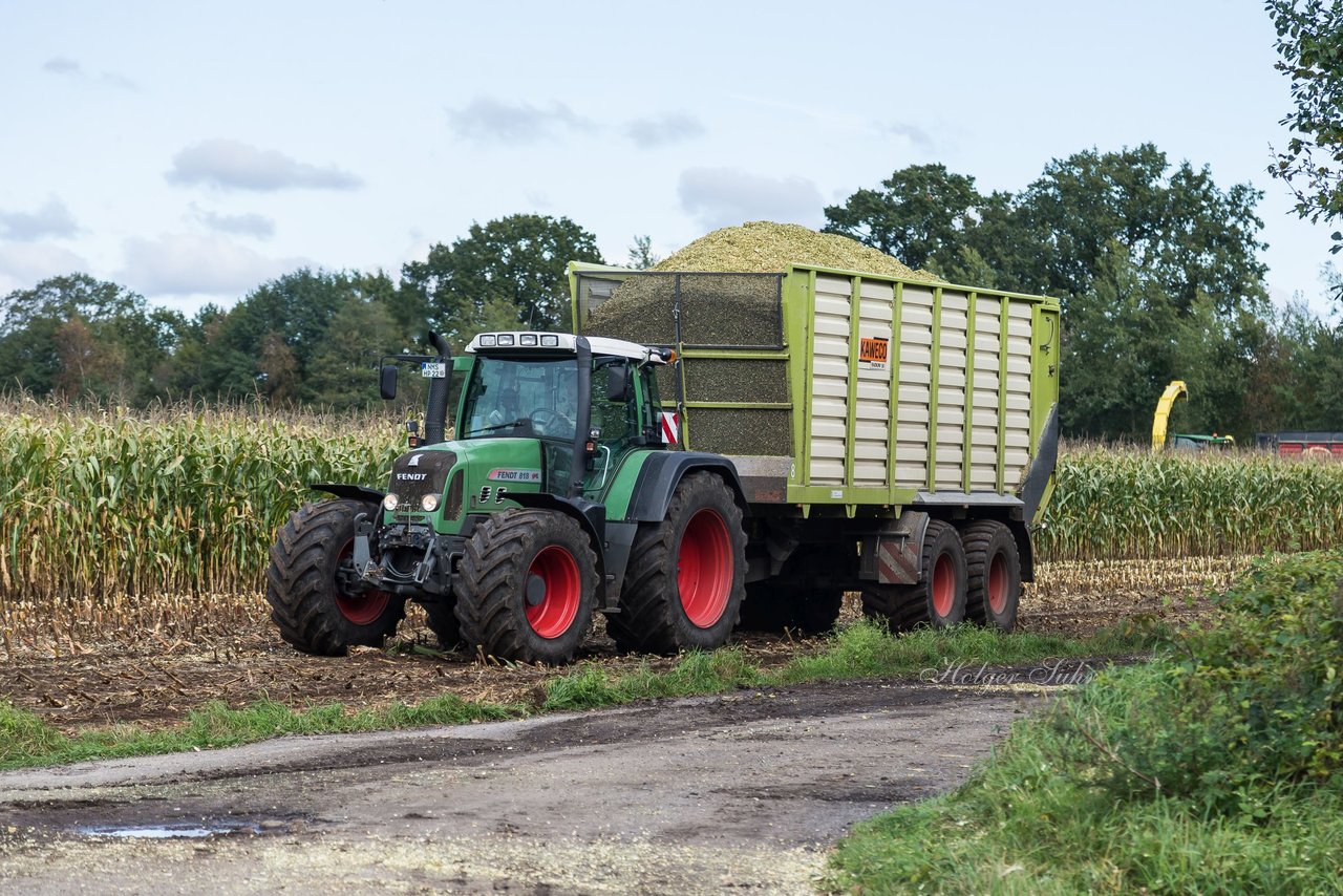 Bild 115 - Maisernte